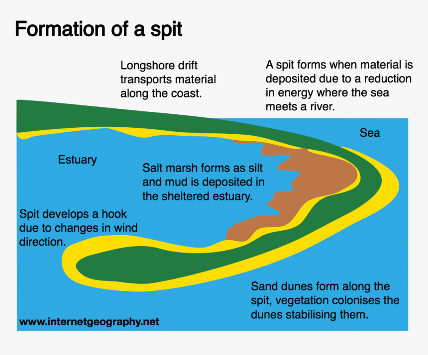 Formation Of A Salt Marsh, HD Png Download, Free Download