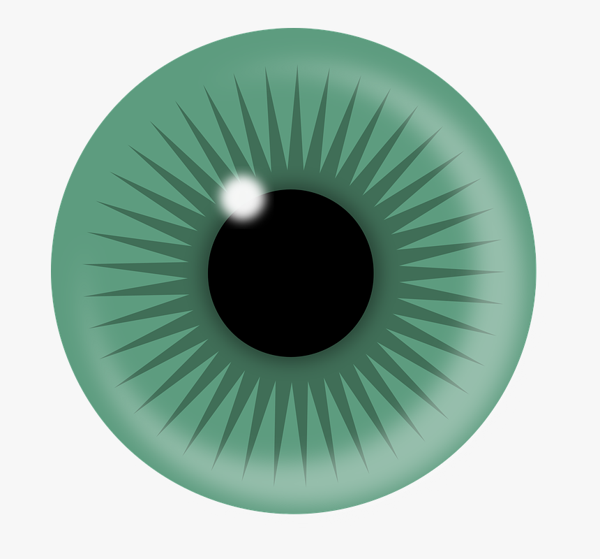 Eye, Iris, Blue, Green, Gray, Reflection, Pupil - Cornea Png, Transparent Png, Free Download