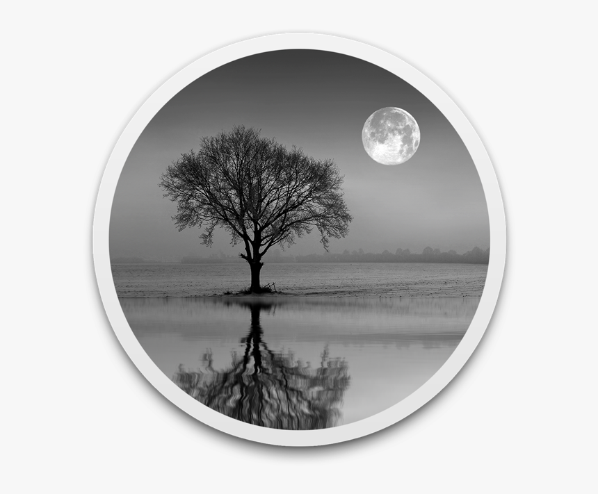 Moon, HD Png Download, Free Download