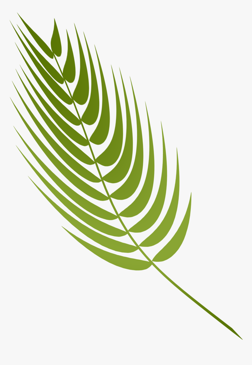 Transparent Palm Sunday Png - Palm Sunday Hd Png, Png Download, Free Download