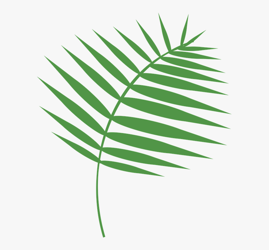Graphic, Palm, Palm Sunday, Holy Week, Lent - Free Palm Sunday Vector, HD Png Download, Free Download