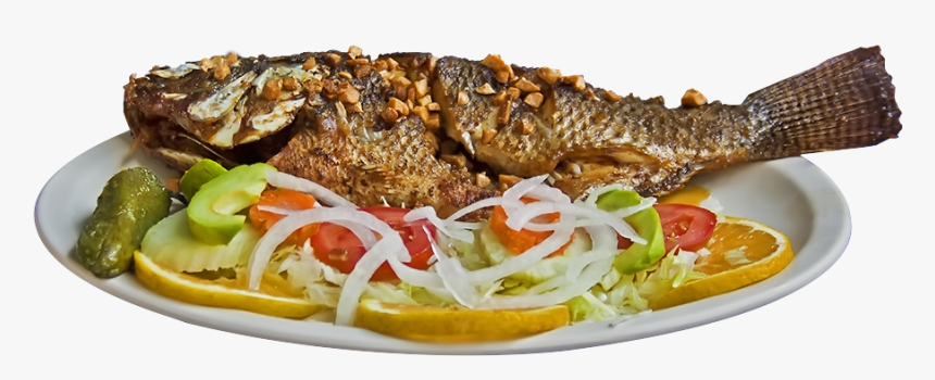Iranian-cuisine - Comida De Pescados Y Mariscos, HD Png Download, Free Download