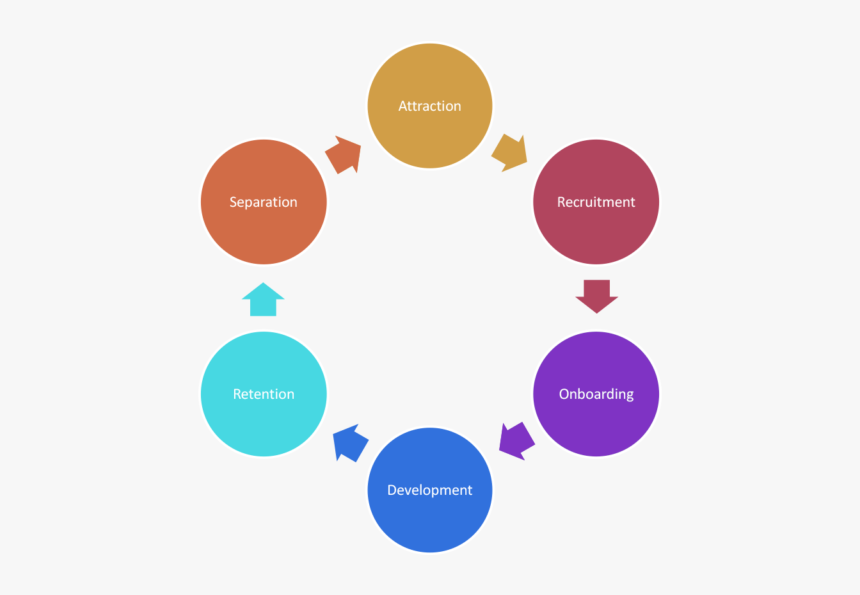 Employee-lifecycle - Teaching And Learning Cycle, HD Png Download, Free Download