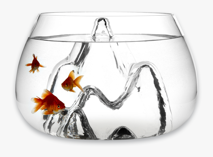 Transparent Small Fish Png - Modern Glass Fish Bowl, Png Download, Free Download