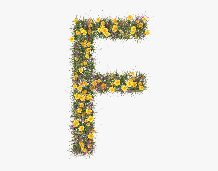 Flower Typography, HD Png Download, Free Download