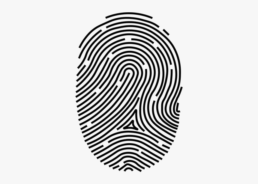 Fingerprint Transparent Abstract - Finger Print Vectors, HD Png Download, Free Download