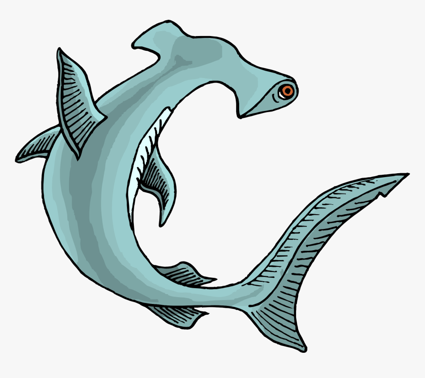 Sharks Png Image File - Hammerhead Shark Clip Art, Transparent Png, Free Download