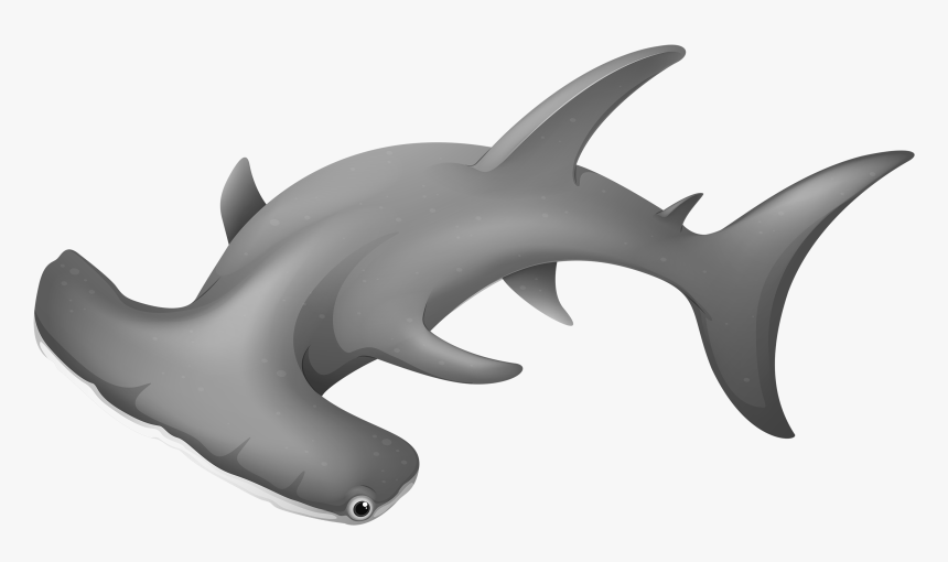 Hammerhead Shark Clip Art - Hammer Head Shark Clip Art, HD Png Download, Free Download