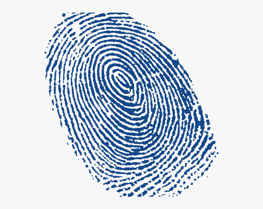 67827 - Blue Fingerprint Png, Transparent Png, Free Download