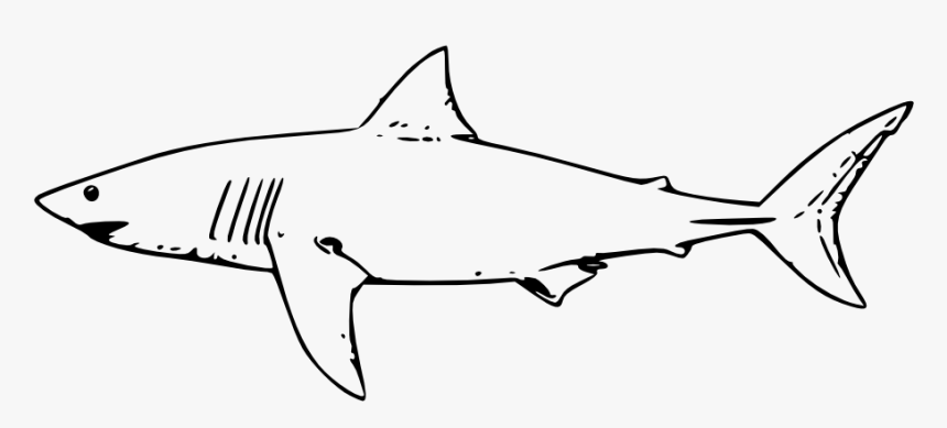 Clip Art Sharks Svg Black - Great White Shark Clip Art, HD Png Download, Free Download