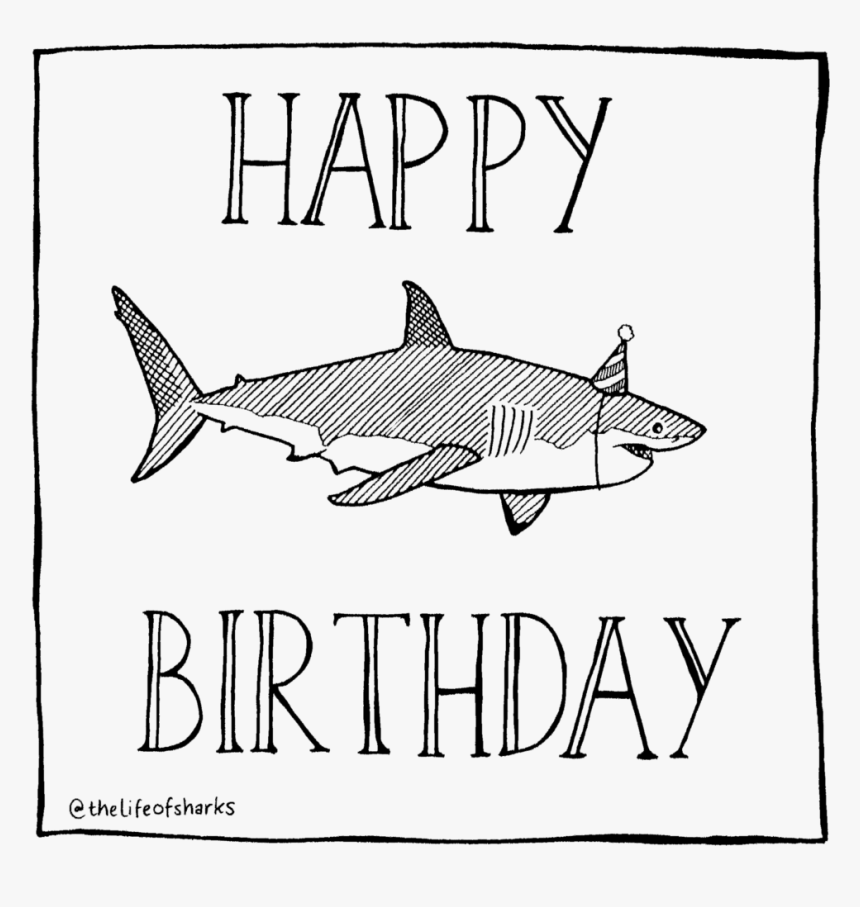 Happy Birthday Shark Card, HD Png Download, Free Download