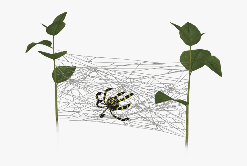 Arachnode - Arachnode Pikmin 3, HD Png Download, Free Download