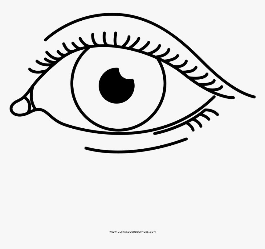 Transparent Ojos Png - Coloring Book, Png Download, Free Download