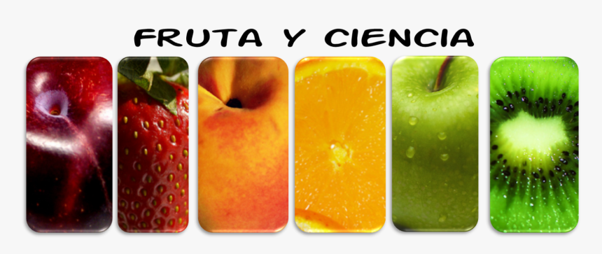 Cropped-imagen11 - Acido Citrico En Frutas Y Hortalizas, HD Png Download, Free Download