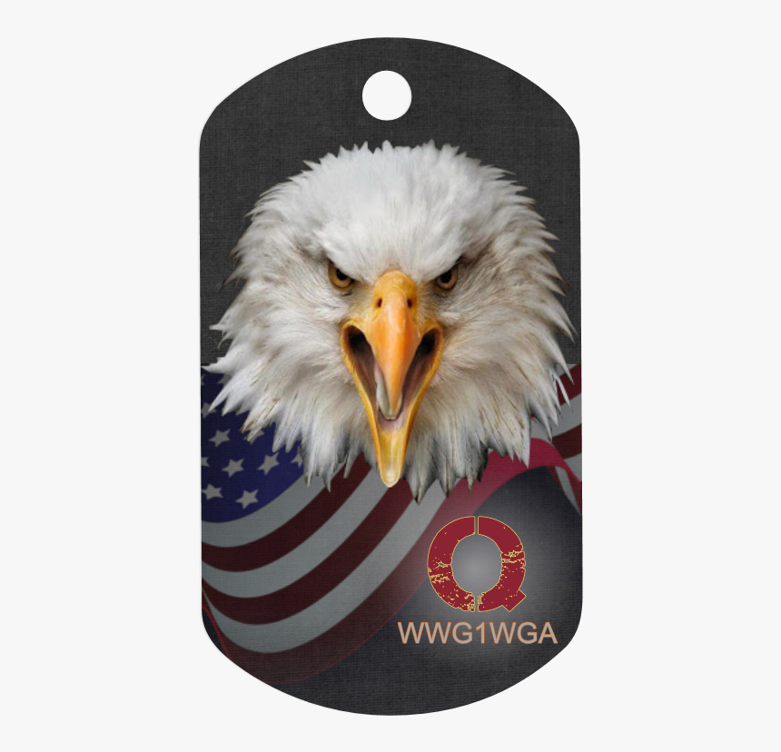 Bald Eagle Angry, HD Png Download, Free Download