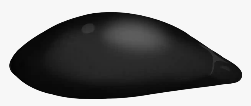 Oval , Png Download - Oval, Transparent Png, Free Download