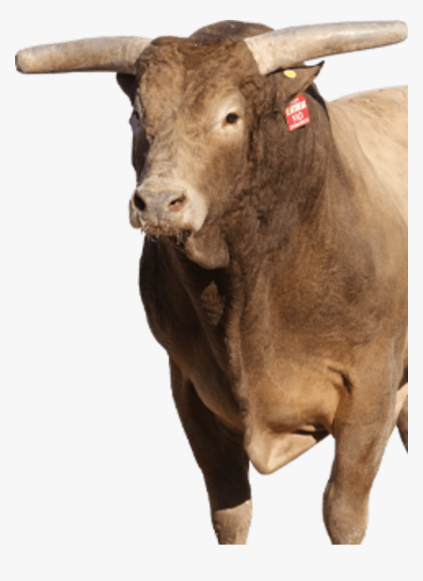 Heartbreak Kid Bucking Bull, HD Png Download, Free Download