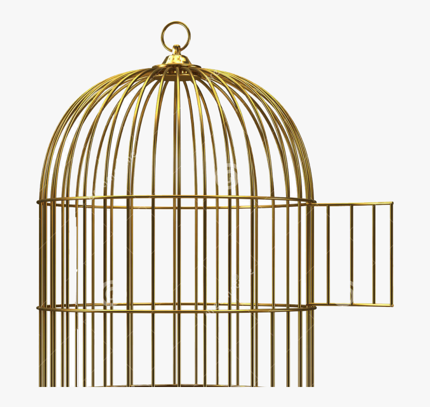 Birdcage Clip Art - Bird Cage Open Door, HD Png Download, Free Download