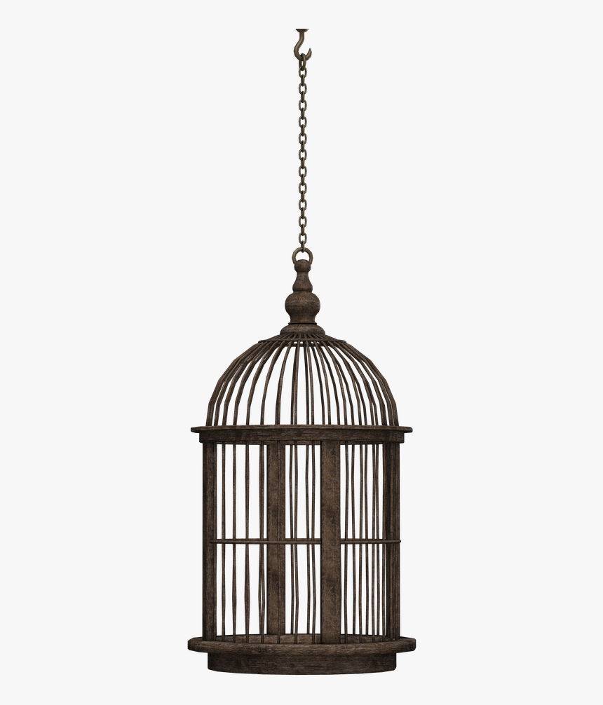 Black Hanging Bird Cage, HD Png Download, Free Download