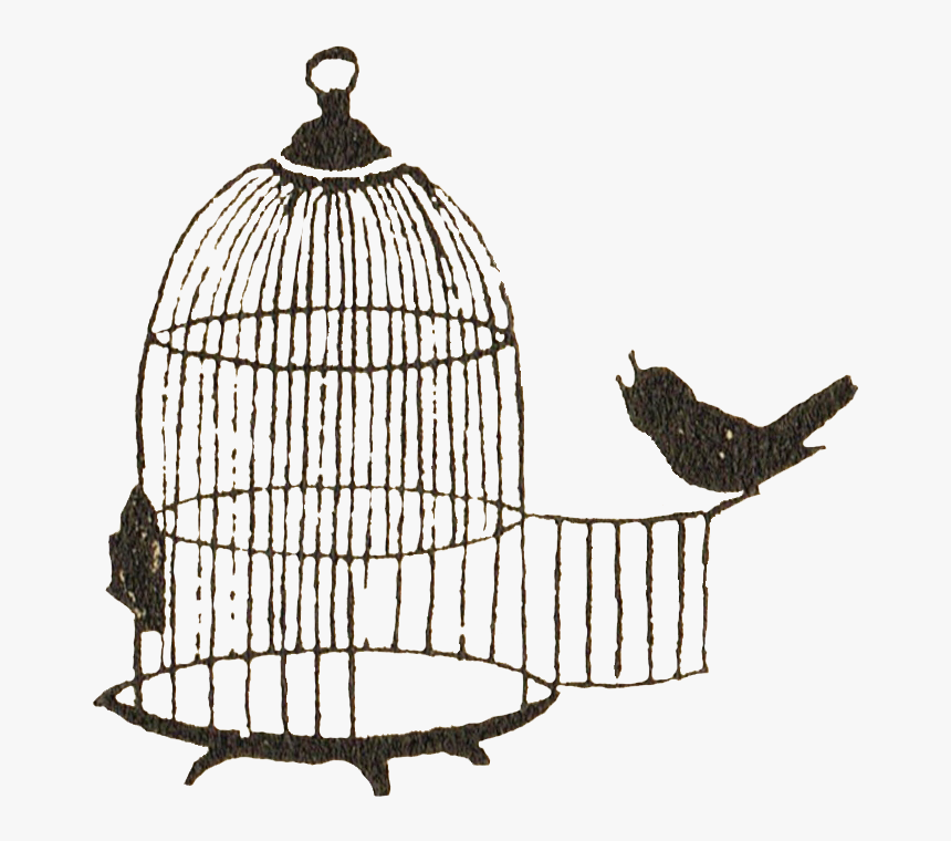 Birdcage Clip Art - Bird Cage Transparent Background, HD Png Download, Free Download