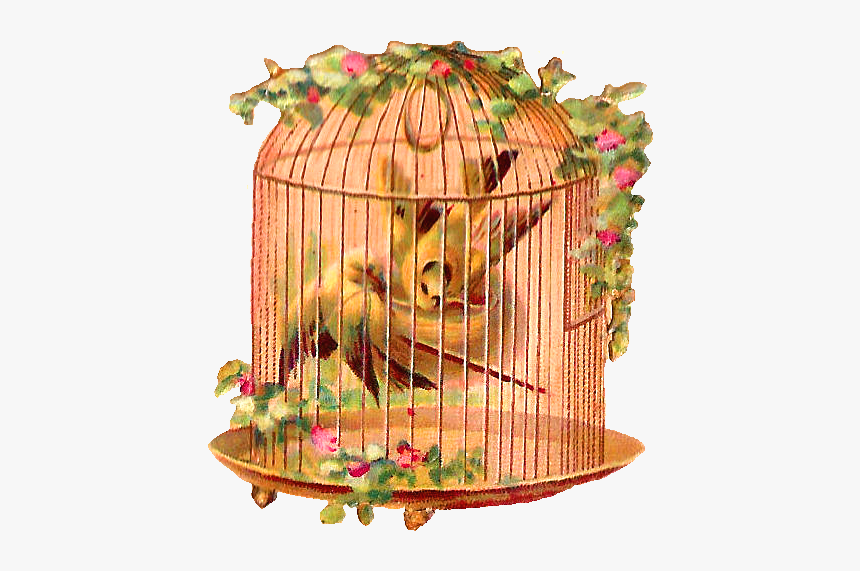 Bird Cage Birds Flowers, HD Png Download, Free Download