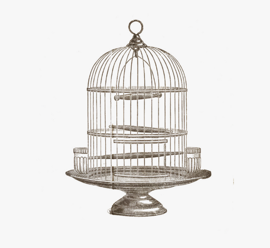 Thumb Image - Bird In Cage Art, HD Png Download, Free Download