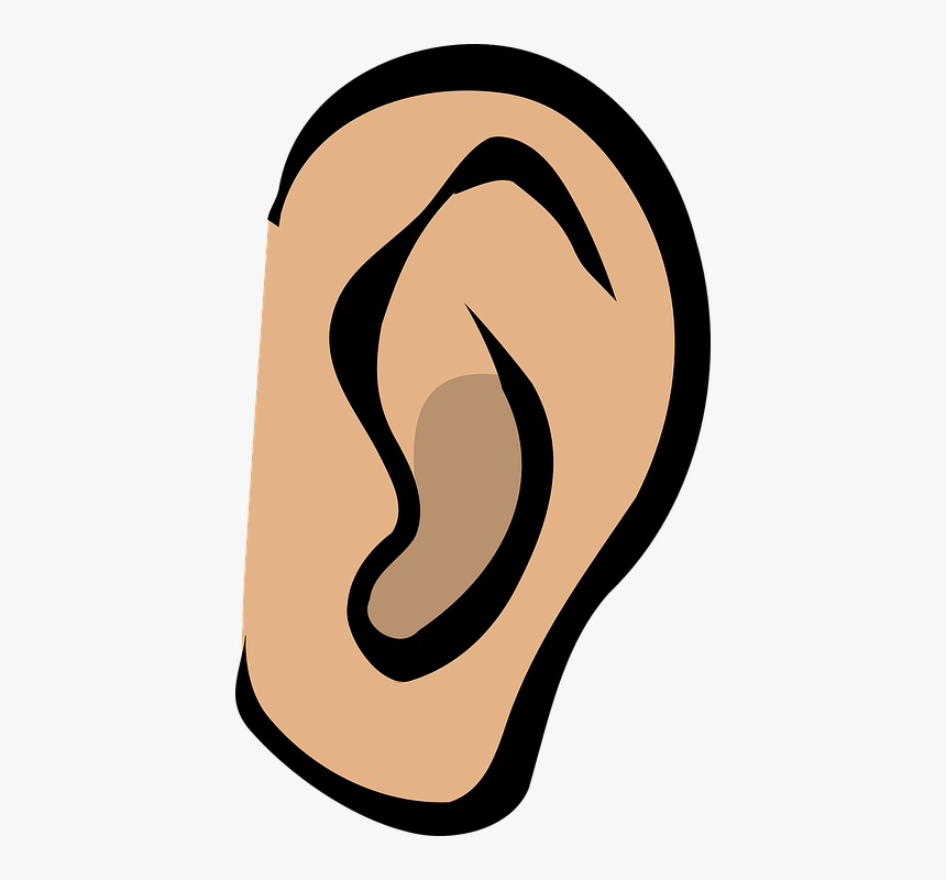 Ears Png, Transparent Png, Free Download