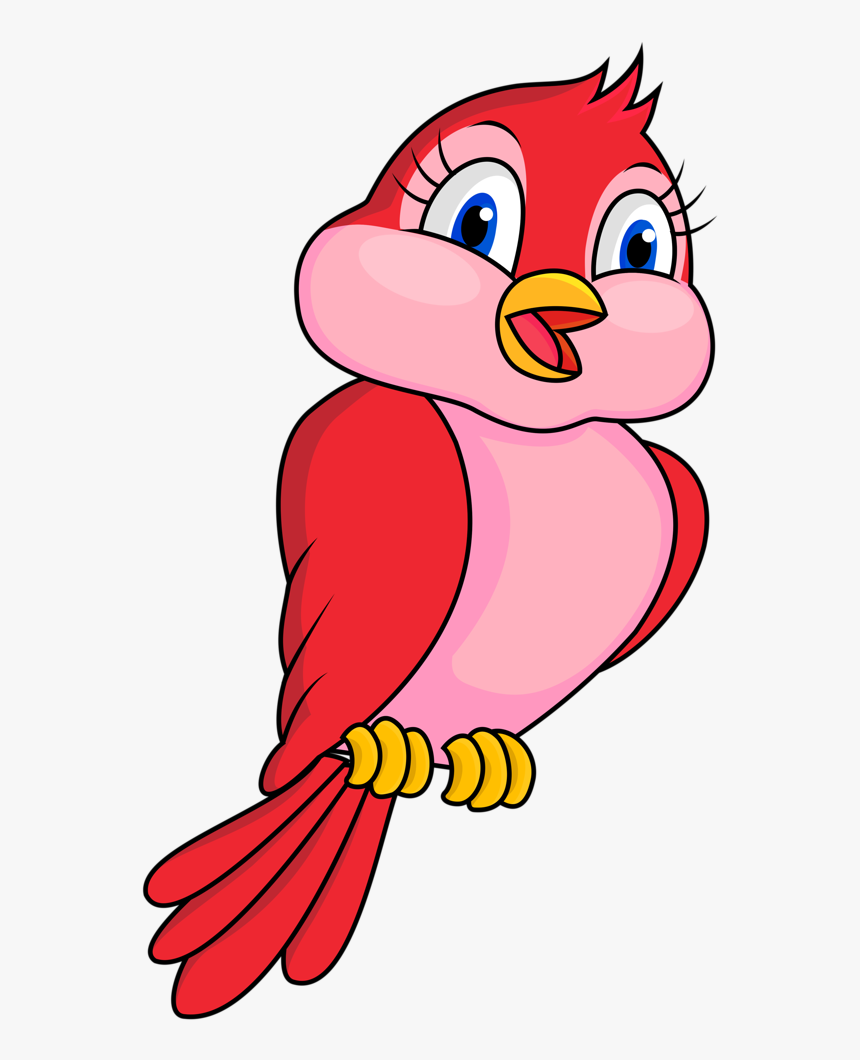 Bird Clipart Cartoon - Cartoon Bird Clipart, HD Png Download, Free Download