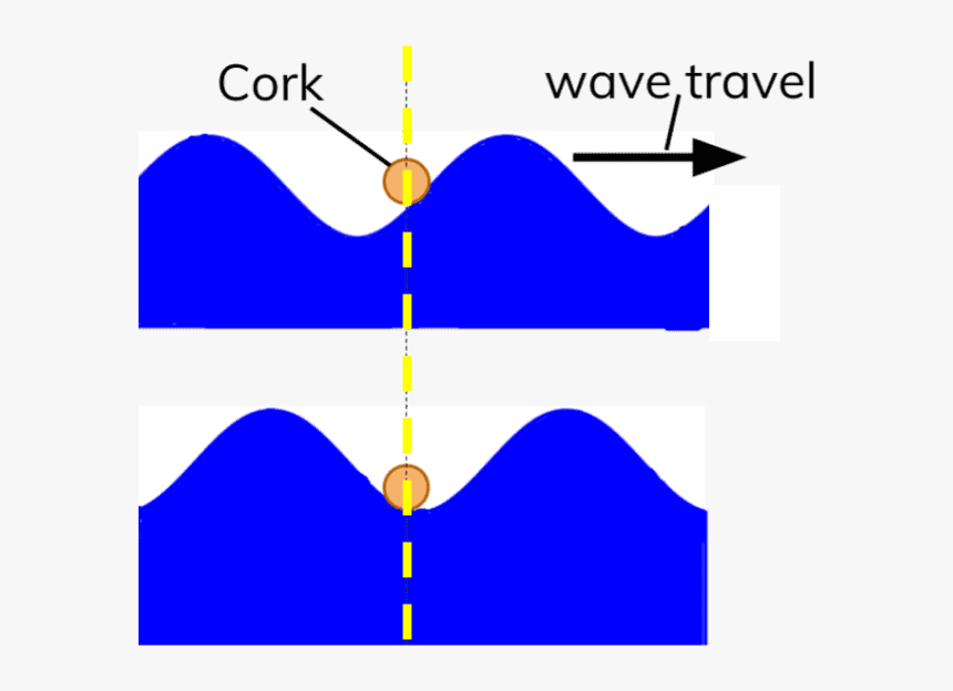 Diagram Showing Transverse Water - Transverse Wave Diagram Invisible Background, HD Png Download, Free Download