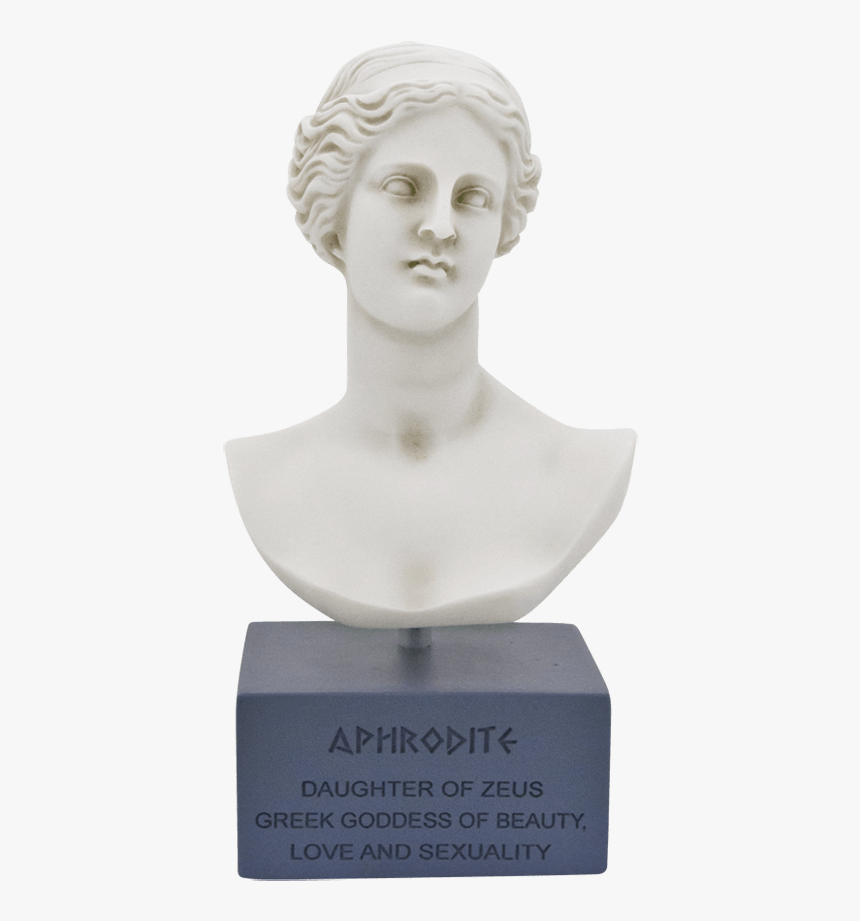 Bust, HD Png Download, Free Download