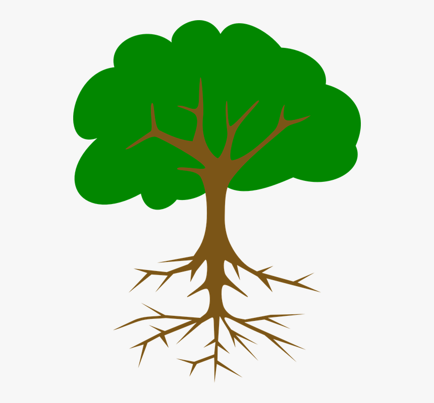 Green, Tree, Roots, Leaves, Root, Support, Leafy - Tree Vector Black Png, Transparent Png, Free Download