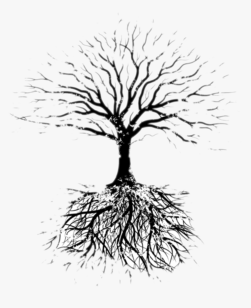 Tree Oak Root Branch - Beloved Toni Morrison Tree, HD Png Download, Free Download