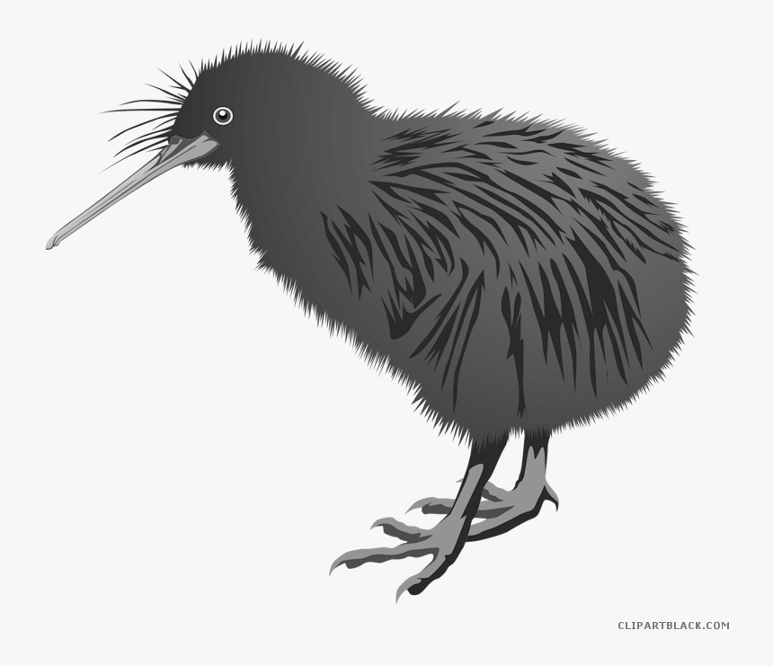 Transparent Clipart Of A Bird - Icon Burung Kiwi, HD Png Download, Free Download
