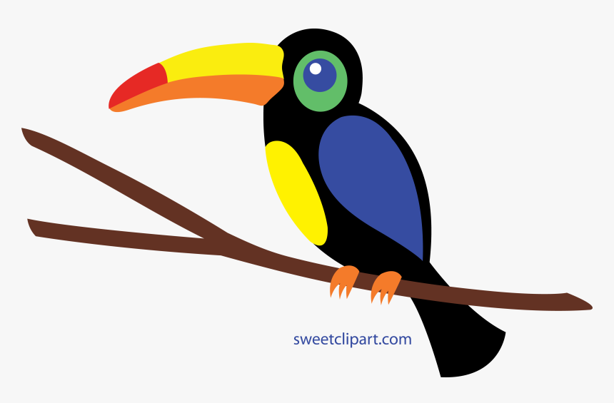 Toucan Free Download Best - Toucan Clipart, HD Png Download, Free Download