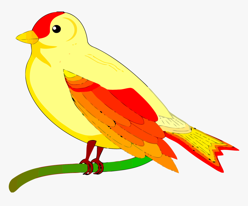 Transparent Birds Clipart - Animated Pictures Of Bird, HD Png Download, Free Download