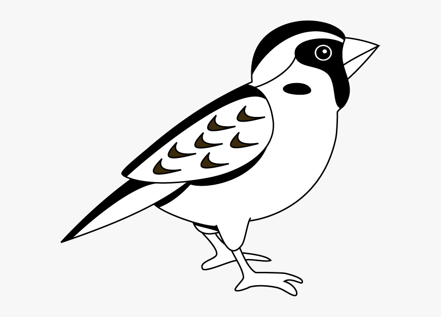 Sparrow Clipart Black And White, HD Png Download, Free Download