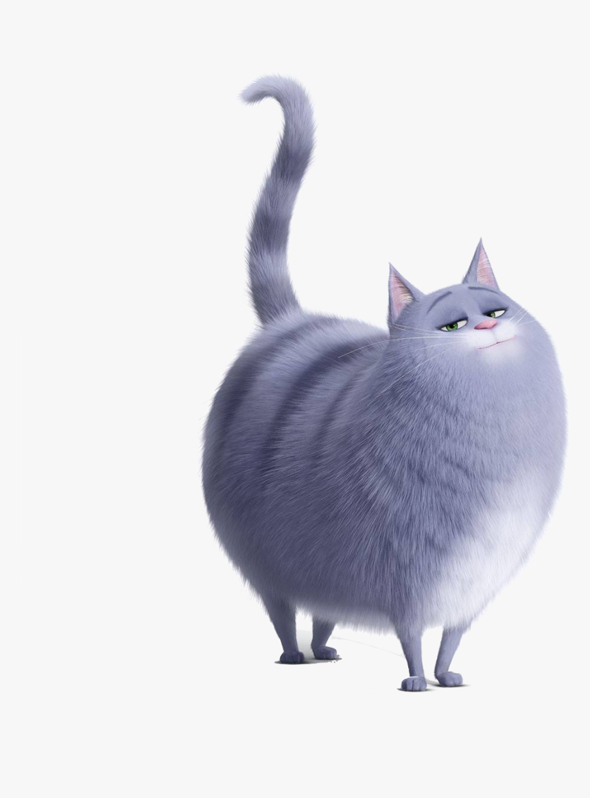 Chloe From Life Of Pets , Png Download - Cat From Pets Life, Transparent Png, Free Download