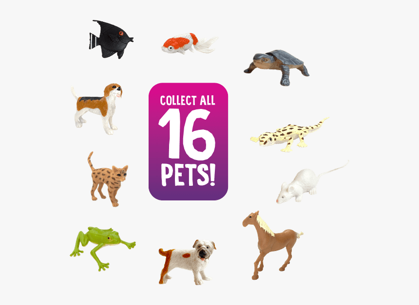 Collect All 16 Pets - Ancient Dog Breeds, HD Png Download, Free Download