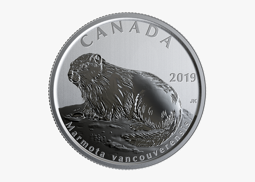 Canada 50 Cents 2019, HD Png Download, Free Download