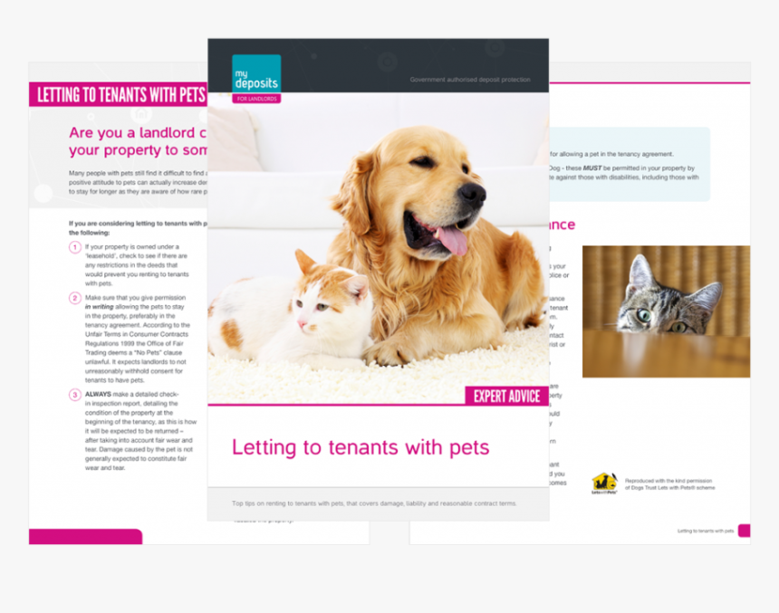 Letting To Tenants With Pets Expert Advice Guide - Eco Friendly Carpet & Mattress Cleaning Brentwood, HD Png Download, Free Download