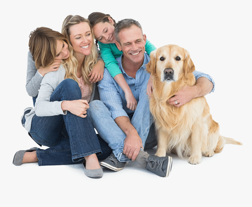 Heartland Pet Family S - Golden Retriever, HD Png Download, Free Download