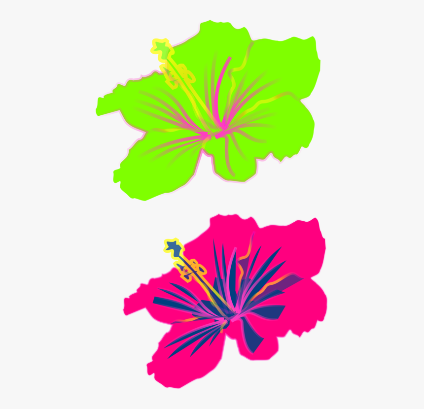 Symmetry,petal,seed Plant - Hibiscus Clip Art Flower, HD Png Download, Free Download