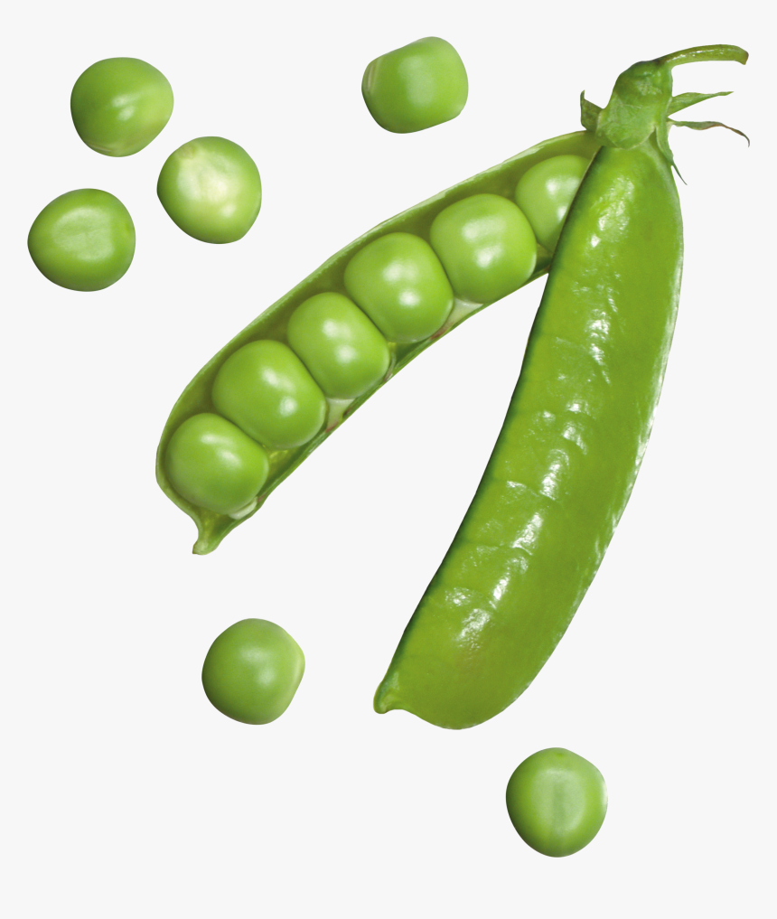 Pea Png - Pea Transparent, Png Download, Free Download