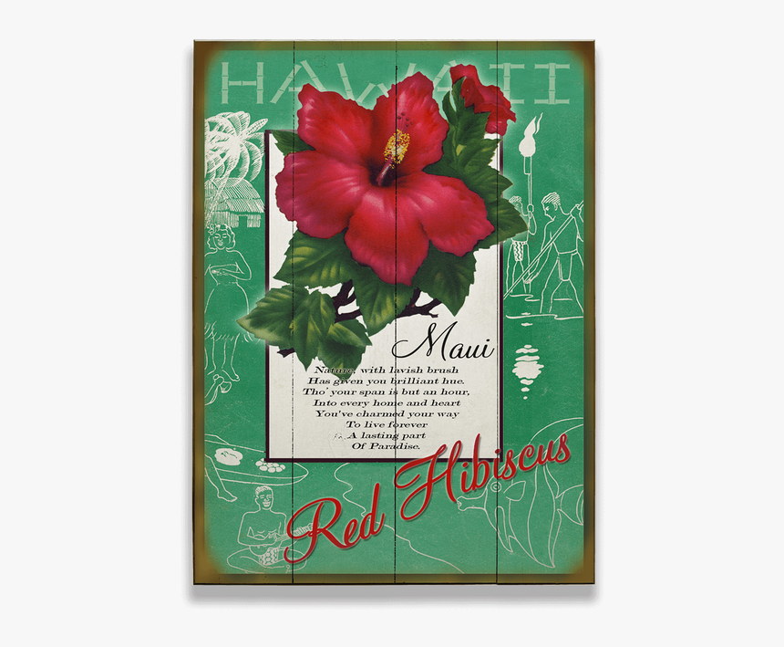 Hawaiian Hibiscus, HD Png Download, Free Download