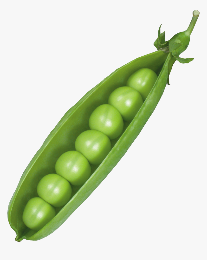 Pea Png, Transparent Png, Free Download