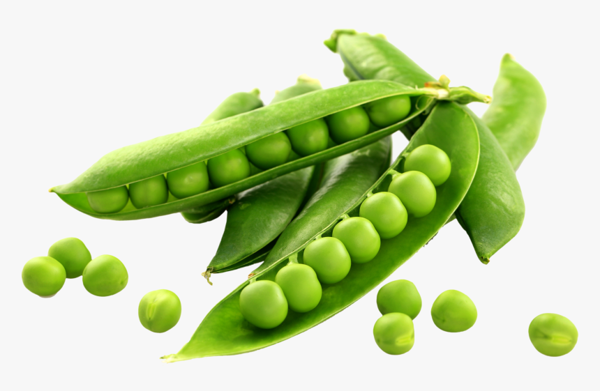 Peas Png Page - Green Peas Png, Transparent Png, Free Download
