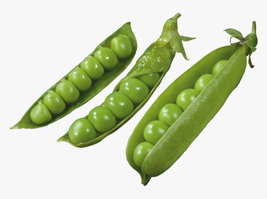 Three Pods With Peas Png Image, Transparent Png, Free Download