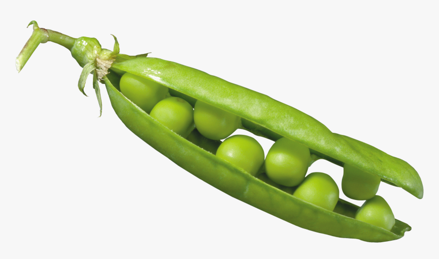 Peas In A Pod Png Image, Transparent Png, Free Download