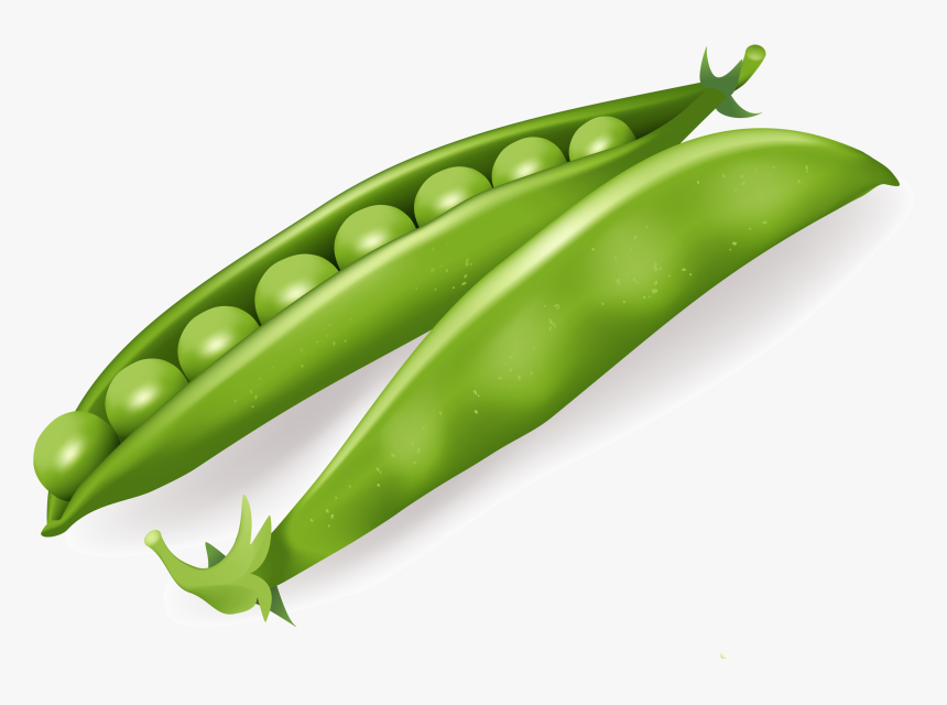 Pea, HD Png Download, Free Download