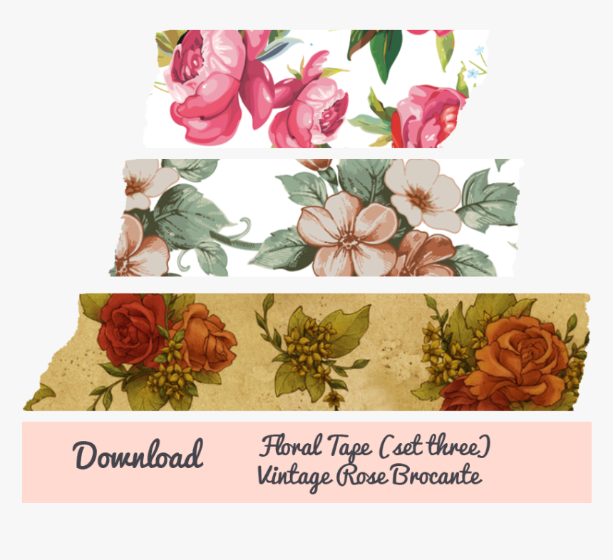 Garden Roses, HD Png Download, Free Download